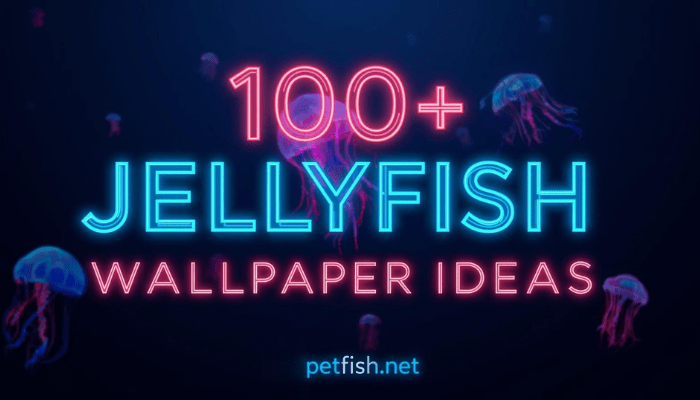 100+ JellyFish Desktop Wallpaper Ideas
